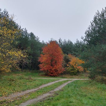 Agroturystyka Lesna Babka Jastrowie Exterior photo