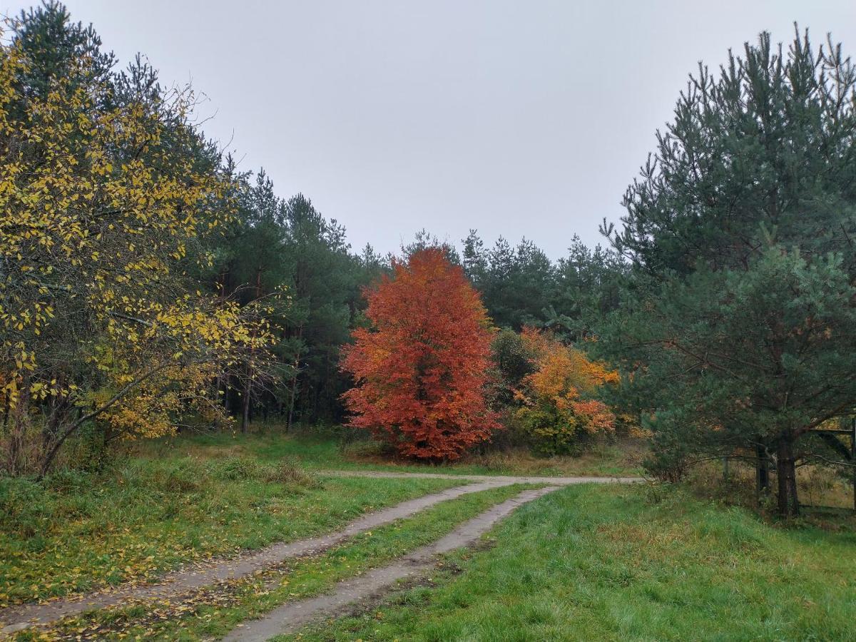 Agroturystyka Lesna Babka Jastrowie Exterior photo
